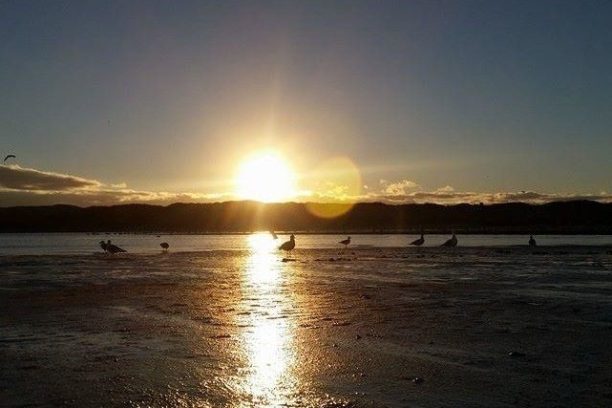 elkhorn slough at sunset